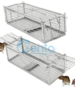 long-bay-chuot-long-bat-chuot-chu-nhat