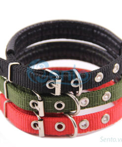 Dây dù buộc cổ chó